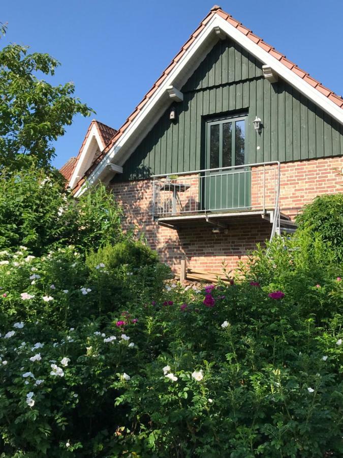 Ferienwohnung Landart Hilter 外观 照片